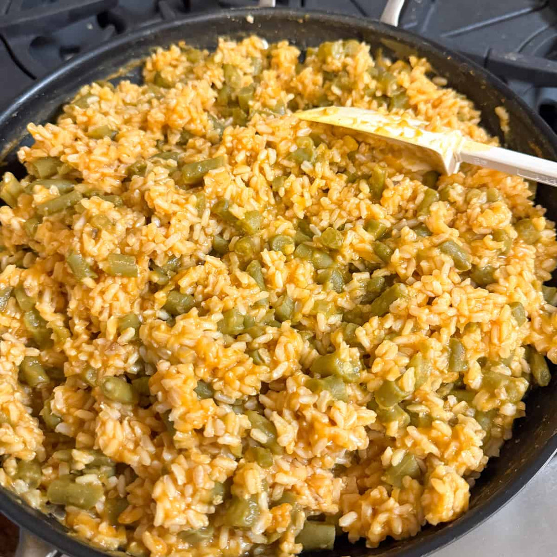 Pumpkin Rice and Green Beans for Dogs