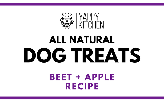 Beet + Apple Dog Treats - Choose Size