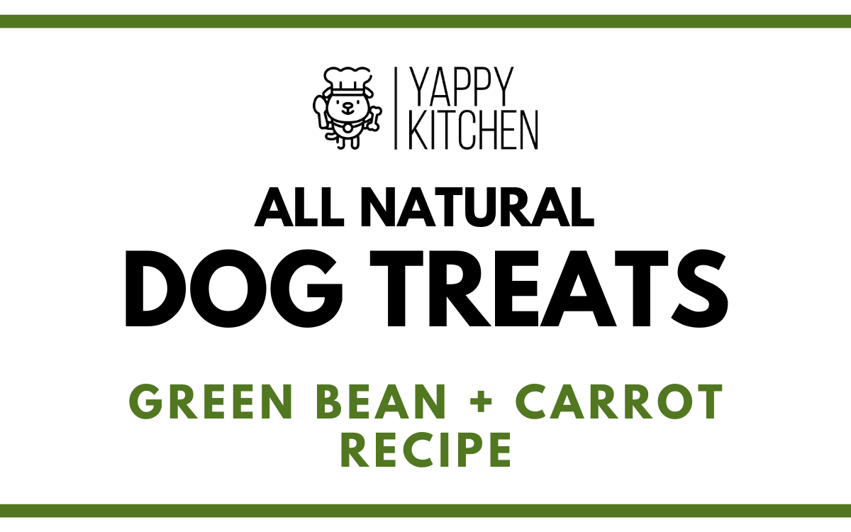 Green Bean + Carrot Dog Treats - Choose Size